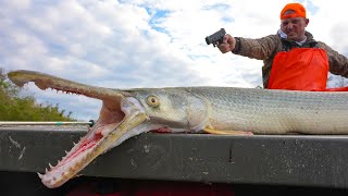 It Took 3 Shots to get this Fish in the boat Catch Clean Cook Alligator Gar Taste Test [upl. by Gebelein287]