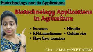 Biotechnology  Application in Agriculture  GMO Bt cotton RNA interference Class 12 BiologyNEET [upl. by Woothen]