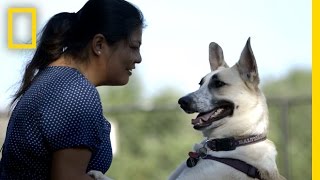 Whatever Happened to the Rescued Sochi Ten  National Geographic [upl. by Bohon]