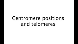 Different positions of the centromere 20 [upl. by Jevon]