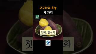 코메디닷컴 🍠고구마의 효능 세 가지 건강 활력 [upl. by Hamo]