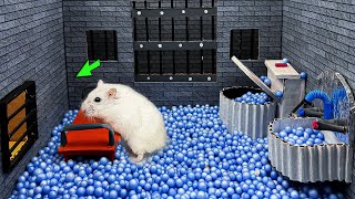 🐹How Hamster Escapes the Awesome Maze for Pets in real life🐹Luxury prison for pets OBSTACLE COURSE [upl. by Siramed]