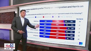 New polling shows voters vibes on Harris Trump and the issues [upl. by Lledner403]