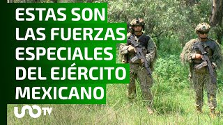 Agrupamiento élite del Ejército y Fuerza Aérea Mexicanos [upl. by Smiga]