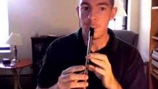 Tin Whistle Carmel Mahoneys [upl. by Mairim]