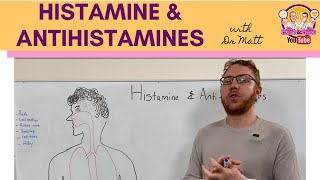 Histamine and Antihistamines Meds [upl. by Etoile]