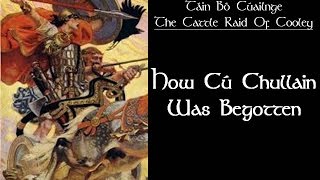 Cú Chulainn was Begotten ¦ Táin Bó Cúailnge Cattle Raid of Cooley [upl. by Atinrahc]