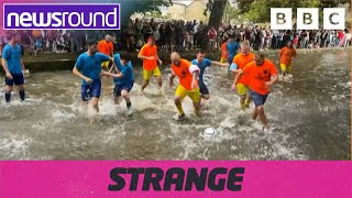 Strange News Bog snorkelling fun football amp more  Newsround [upl. by Rehprotsirhc]