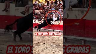 Las corridas de toros en Francia🇫🇷 son más atractivas que en España🇪🇸 shorts toros [upl. by Galen]