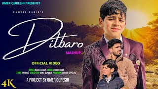 DILBARO  KASHMIRI SUPER HIT SONG  RAMEES NAZIR  UMER QURESHI SHAKIR BABA [upl. by Ecadnac309]