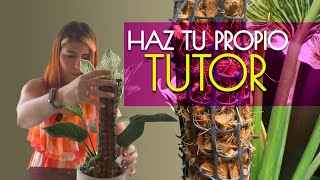 Guía paso a paso Crea tu propio TUTOR para PLANTAS TREPADORAS de Interior [upl. by Leunamnauj]