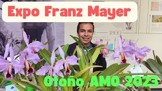 Expo Orquídeas de Otoño en el museo Franz Mayer CDMX AMO 2023 [upl. by Leong]