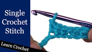 Single Crochet Stitch  Beginner Course Lesson 6 [upl. by Daphene]