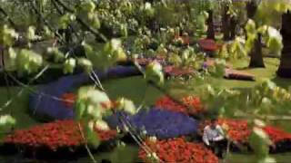 Keukenhof Gardens in Holland  DFDS Seaways [upl. by Miksen]