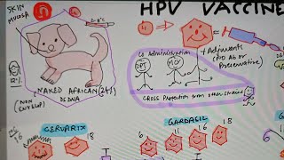 HPV VACCINE EASY MNEMONIC hpvvaccine medicalmnemonics passion for teaching easymedicine [upl. by Seow]