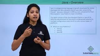 Java  Overview [upl. by Ecyal361]