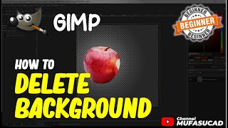 Gimp How To Delete Background [upl. by Dimitry991]