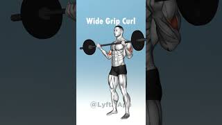 👇Top Biceps Exercises With Barbell 💪 [upl. by Conall]