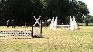 Pairs Jumping Class  Haflinger Society of Great Britain 2006  Jane amp Hannah [upl. by Lorrac]