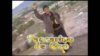 paucarino de oro ● maldito orgullo [upl. by Dougherty707]