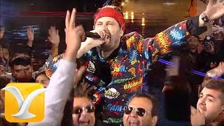 Los Auténticos Decadentes  Tuta Tuta  Festival de Viña del Mar 2017  HD 1080p [upl. by Onil]