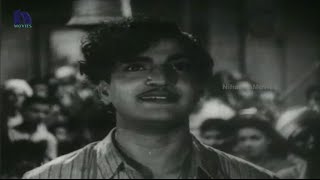 Santosham Old Telugu Movie Video Songs  Ra Ra Jeeva Song  NTR Anjali Devi Jamuna [upl. by Fidellas]