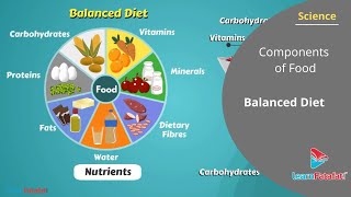 Components of Food Class 6 Science  Balanced Diet [upl. by Lisandra]