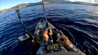 My First Kamanu  Rainbow Runner  KAYAK FISHING HAWAII [upl. by Arvin]