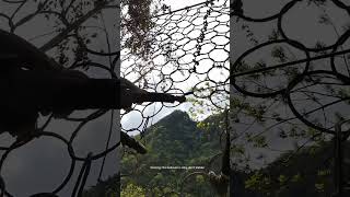 Moutain Slope Protection Ring Net Connecting And Installing Process Tips Tools Easyway Easywork [upl. by Ocana]