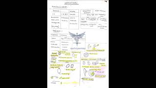 Nematodes  Trematodes  cestodes comment for full pdf fmge neetpg mbbs [upl. by Nnylsor]