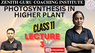 POTHOSYNTHESIS IN HIGHER PLANTS  Class 11  Chapter 11  Lecture 3 By Shubhangi Maam [upl. by Greggory]