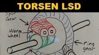 Torsen Limited Slip Differential  Explained [upl. by Wendel]