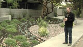 MidCentury Modern Landscape Design [upl. by Kerri]