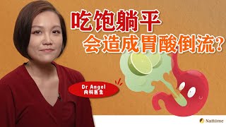 【胃你小知识】Ep7 吃饱躺平会造成胃酸倒流？ [upl. by Llertnauq]