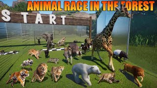 Carnivore VS Herbivore Animals Race in the Forest included Elephant Lion Ostrich Giraffe amp Hippo [upl. by Adnohsak330]