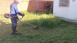 roçando grama com roçadeira da Stihl [upl. by Auqenaj670]