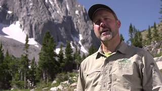 Mountain Safety The Deadliest Colorado 14ers [upl. by Moshe257]