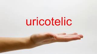 How to Pronounce uricotelic  American English [upl. by Annai]