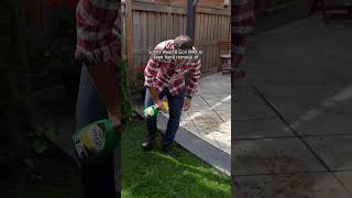 HOW TO CARE FOR YOUR LAWN IN THE FALL 🍂🌱 garden lawncare [upl. by Aremihc461]