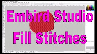 Embird Studio All about fill stitches nodes and tips and tricks 💖 [upl. by Iahc]