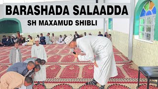 Barashada Salaadda Maqal iyo Muuqaal  Sh Maxamud Shibli [upl. by Hilel889]