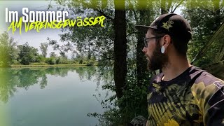 Welsangeln am Stillgewässer 5  Sommerangeln am kleinen Teich [upl. by Ishmul89]