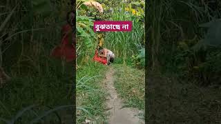 বুঝতেছে না ranabappijarigaan graminkicchapala ranabappysong comedy [upl. by Noired393]