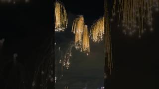 The Most Extravagant Fireworks Display Ever Fireworks Golden Rain fyp shorts [upl. by Hirz412]