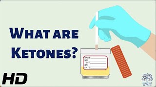 What Are Ketones and Why Are They So Important for Your Health [upl. by Mendel]