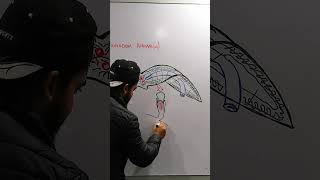 How to Draw Planaria Diagram [upl. by Robbi908]