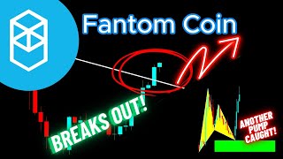 Fantom Crypto FTM  Crypto Coin Breaks Out [upl. by Fechter]