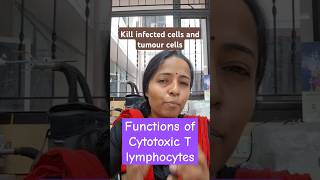 Cytotoxic T lymphocytes functions immune system physiology class mbbs1styear physiologylectures [upl. by Dedrick]