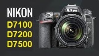 Nikon D7100 vs Nikon D7200 vs Nikon D7500 [upl. by Lepp]