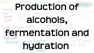 Production of Alcohols Fermentation and Hydration  Revision for Chemistry ALevel and IB [upl. by Ranip]